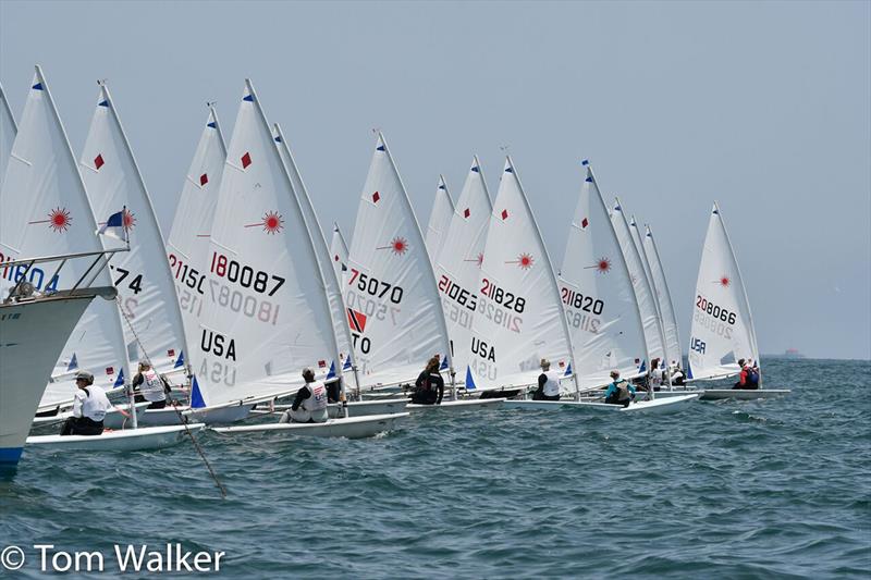 The Moorings Laser North American Championship photo copyright Tom Walker taken at Alamitos Bay Yacht Club and featuring the ILCA 7 class