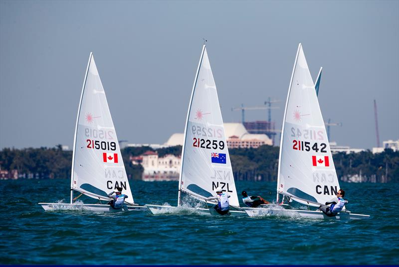 Josh Armit (NZL) does the Can Can - Day 6 - Sailing World Cup Miami, February 2019 photo copyright Sailing Energy / World Sailing taken at Miami Yacht Club and featuring the ILCA 7 class