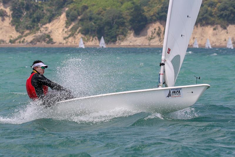 Day 3 - Oceanbridge NZL Sailing Regatta, February 2019 photo copyright Michael Brown, Yachting New Zealand taken at Royal Akarana Yacht Club and featuring the ILCA 7 class