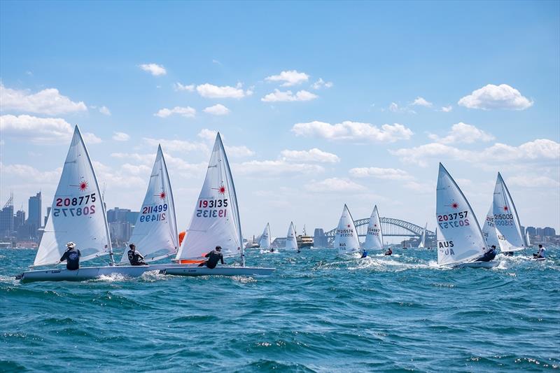 Laser Sailing - Sydney Harbour - photo © Diana Valia Chen