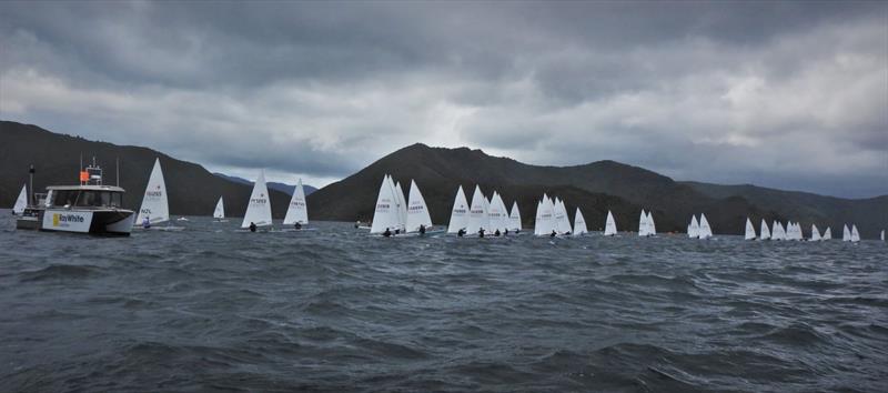 NZ ILCA National Championships - Day 1, Queen Charlotte Yacht Club, Picton photo copyright Christel Hopkins taken at Queen Charlotte Yacht Club and featuring the ILCA 7 class