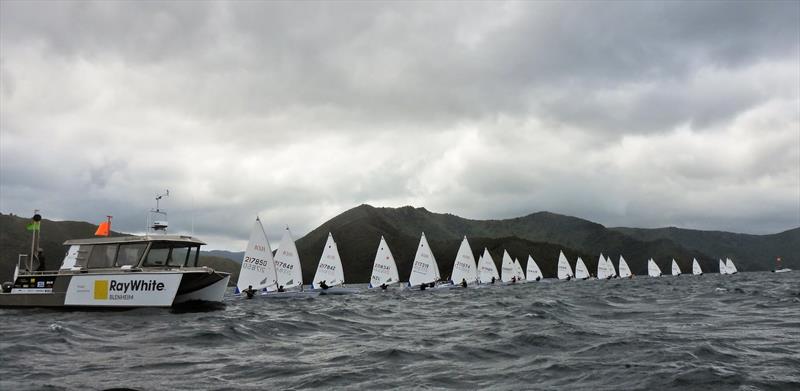 NZ ILCA National Championships - Day 1, Queen Charlotte Yacht Club, Picton photo copyright Christel Hopkins taken at Queen Charlotte Yacht Club and featuring the ILCA 7 class