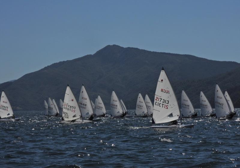 NZ ILCA National Championships - Day 3, Queen Charlotte Yacht Club, Picton - photo © Christel Hopkins