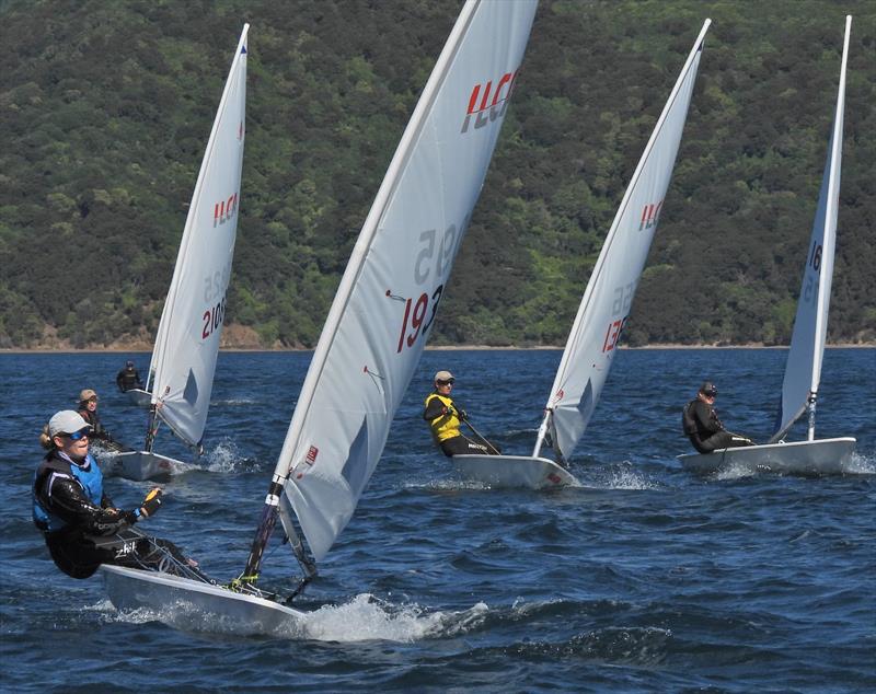 NZ ILCA National Championships - Day 3, Queen Charlotte Yacht Club, Picton photo copyright Christel Hopkins taken at Queen Charlotte Yacht Club and featuring the ILCA 7 class