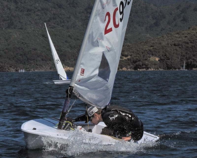 NZ ILCA National Championships - Day 3, Queen Charlotte Yacht Club, Picton - photo © Christel Hopkins