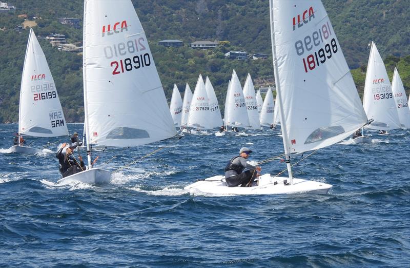 Luke Deegan leads Tom Saunders - NZ ILCA National Championships - Day 4, Queen Charlotte Yacht Club, Picton, January 23, 2022 photo copyright Christel Hopkins taken at Queen Charlotte Yacht Club and featuring the ILCA 7 class