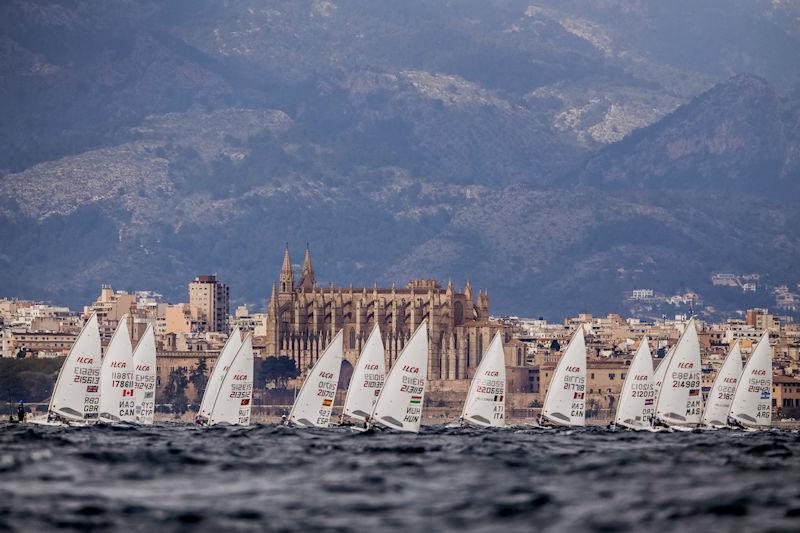 ILCA 7 fleet - 51 Trofeo Princesa Sofía Mallorca - photo © Sailing Energy / Trofeo Princesa Sofía Mallorca