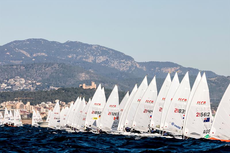 ILCA 7 fleet  - 51 Trofeo Princesa Sofía Mallorca - photo © Sailing Energy / Trofeo Princesa Sofía Mallorca