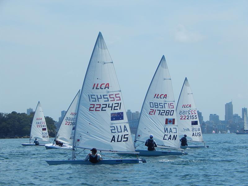 ILCA 7 Fleet photo copyright Woollahra Sailing Club taken at Australian Sailing and featuring the ILCA 7 class