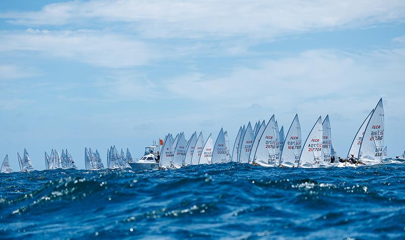 The fleet at the 2024 ILCA 7 Men World Championship - photo © Jack Fletcher, Down Under Sail