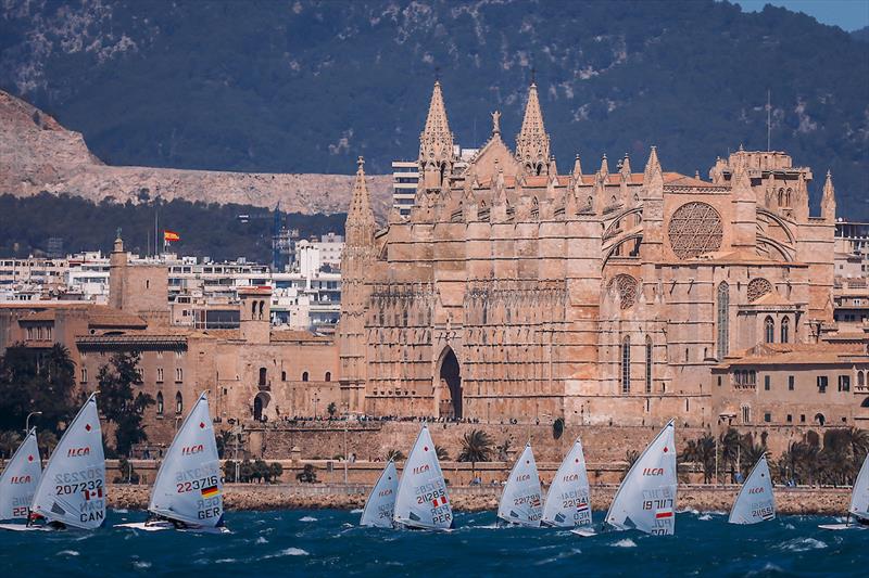 ILCA 6 fleet - Trofeo Princesa Sofia Mallorca - Day 2 - April 2, 2024 photo copyright Sailing Energy taken at Real Club Náutico de Palma and featuring the ILCA 7 class