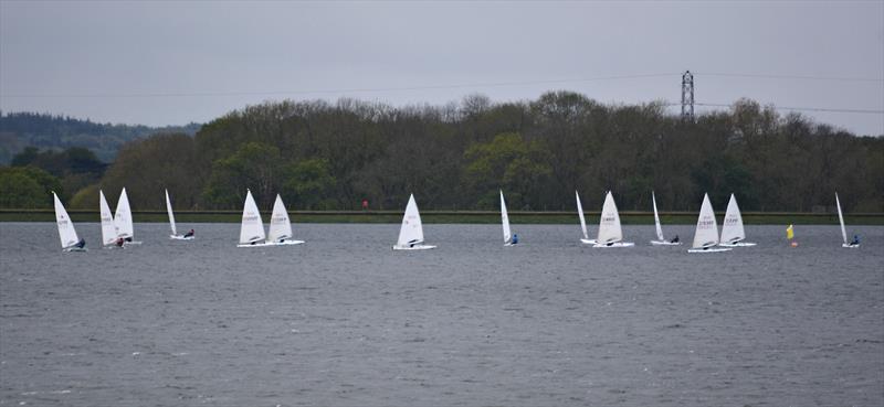 Queen Mary Sailing Club Spring Series Week 8 photo copyright QMDavid taken at Queen Mary Sailing Club and featuring the ILCA 7 class