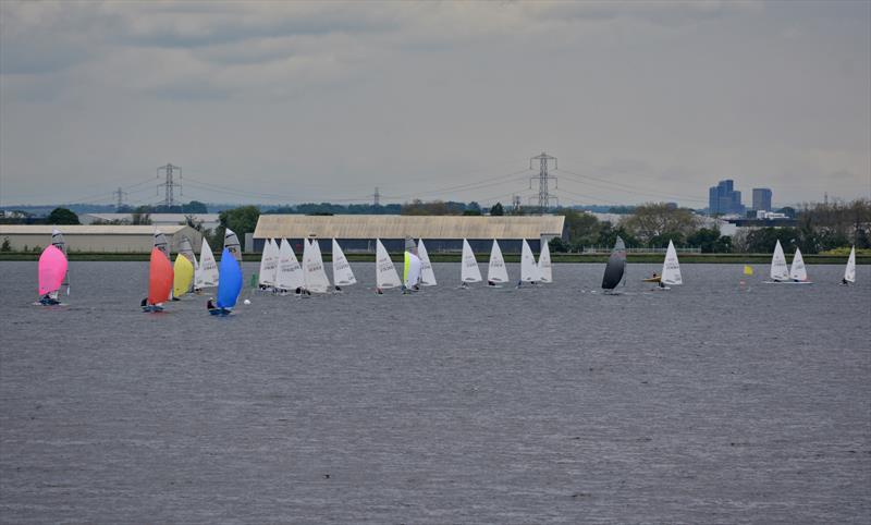 2024 Queen Mary Sailing Club Championships photo copyright QM taken at Queen Mary Sailing Club and featuring the ILCA 7 class
