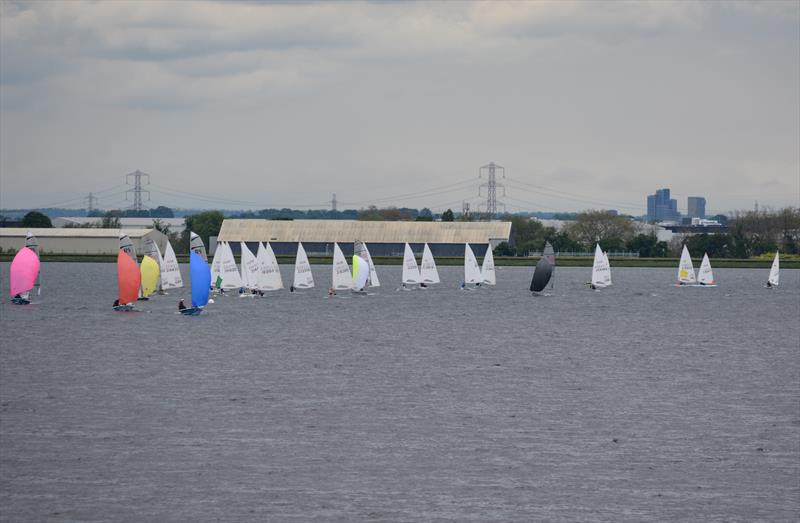 2024 Queen Mary Sailing Club Championships photo copyright QM taken at Queen Mary Sailing Club and featuring the ILCA 7 class