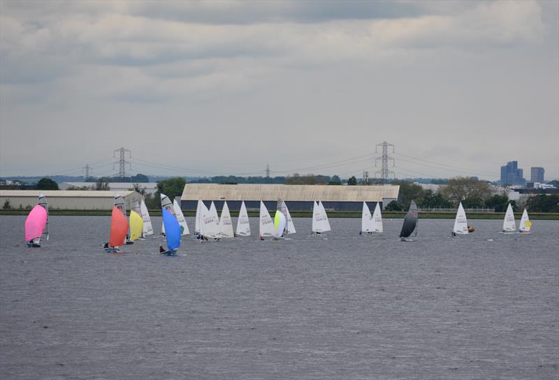 2024 Queen Mary Sailing Club Championships photo copyright QM taken at Queen Mary Sailing Club and featuring the ILCA 7 class