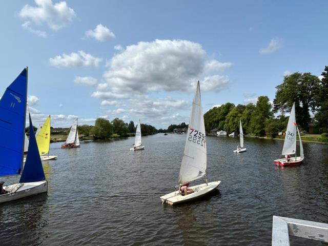 Mid Thames Trophy Regatta 2025 at Hampton photo copyright HSC taken at Hampton Sailing Club and featuring the ILCA 7 class