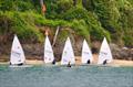 Stones Boatyard Yawl & Laser Open at Salcombe Yacht Club © Lucy Burn