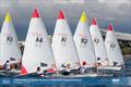 ILCA Team Racing European Championship at Athens - Day 1