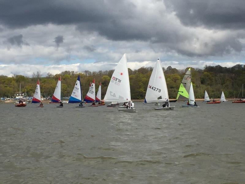 KSSA Opening Splash regatta at Wilsonian SC photo copyright Les Tindall taken at Wilsonian Sailing Club and featuring the ILCA 4 class