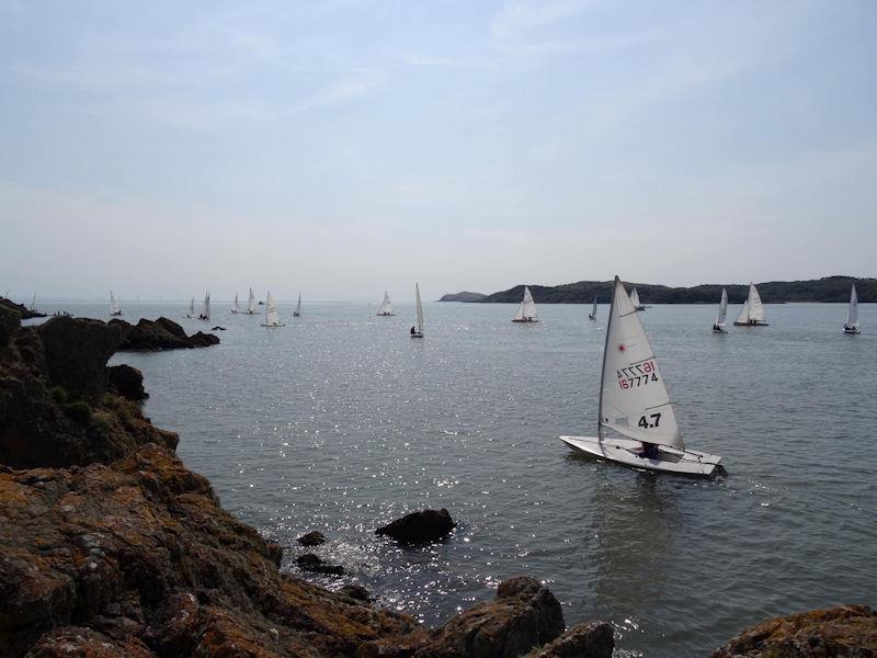 The fleet sailing out to the Committee boat start line for the Kippford RNLI Regatta Race, Stewart Biggar (ILCA 4) hugs the Rough Island shoreline, avoiding the flood tide photo copyright Tom Iglehart taken at Solway Yacht Club and featuring the ILCA 4 class