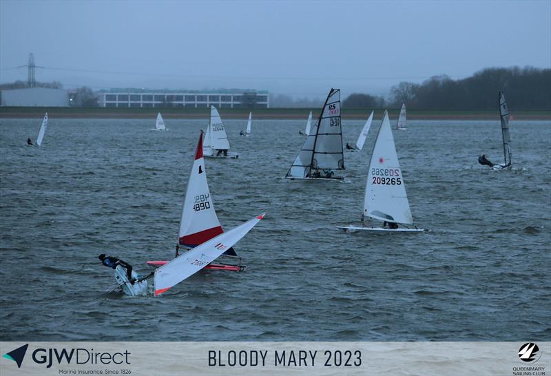 GJW Direct Bloody Mary 2023 photo copyright Mark Jardine taken at Queen Mary Sailing Club and featuring the ILCA 4 class