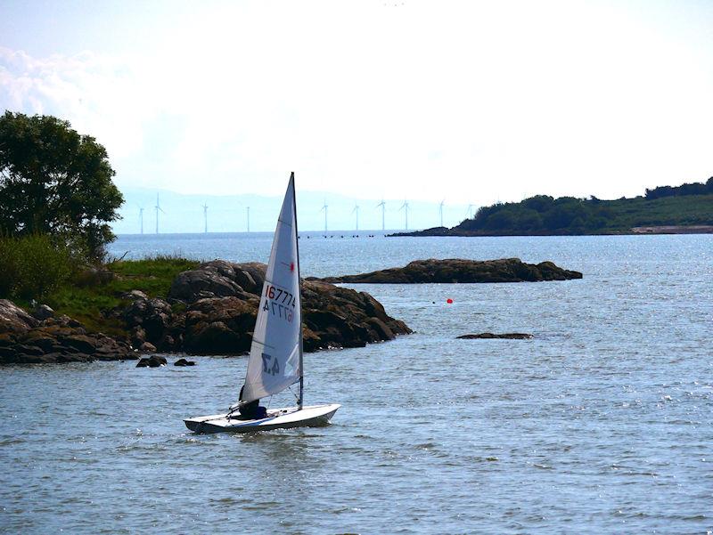 Solway Yacht Club Cadets Adventure Day - Stewart Biggar in his ILCA4 in amongst the rocks keeps as much out of the tide as he can photo copyright Margaret Purkis taken at Solway Yacht Club and featuring the ILCA 4 class