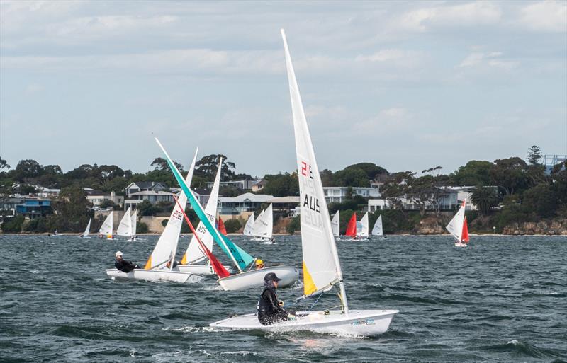 Royal Freshwater Bay Yacht Club International Classes Regatta photo copyright Tom Hodge Media taken at Royal Freshwater Bay Yacht Club and featuring the ILCA 4 class