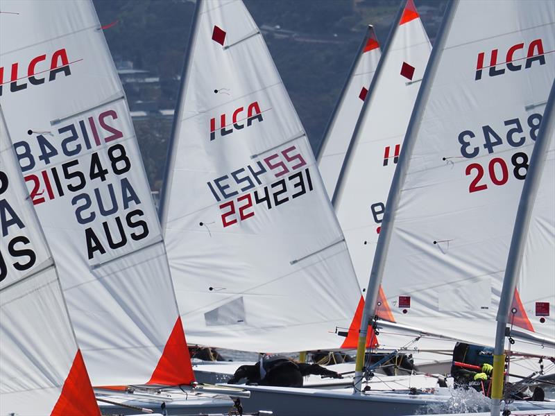 Close racing in the ILCA 4 Class in Hobart - 2026 ILCA Oceania & Australian Open & Youth Championship, Day 2 - photo © Jane Austin