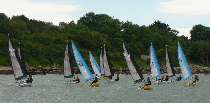 Sailors ranging in age from 5 to 55  at the Gurnard Pico Open photo copyright Liz Harrison taken at Gurnard Sailing Club and featuring the Laser Pico class