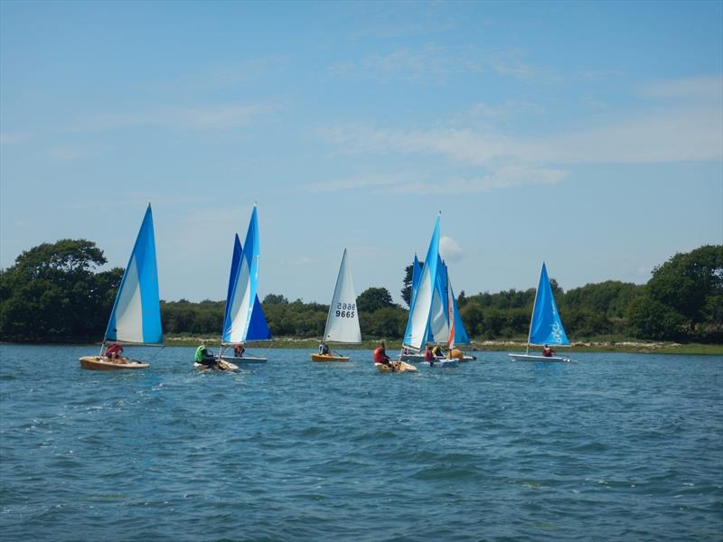 Dell Quay Sailing Club Junior Week 2026 photo copyright Mark Hitchen taken at Dell Quay Sailing Club and featuring the Laser Pico class