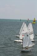 Top Laser Radial sailors at Belize Sailing School © Belize Sailing School