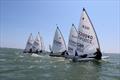 South Coast ILCA Open at Seafarers Sailing Club © Grace O'Neill