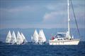 RYA Scotland Winter Championships at Largs © Marc Turner