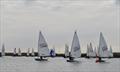 Overy Staithe Laser and Europe Open © Bernard Clark