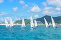 Caribbean Sailing Association Dinghy Regatta Circuit