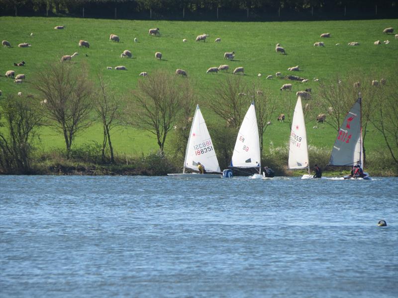 Bainbridge Staunton Blaster photo copyright Ann Nugent taken at Staunton Harold Sailing Club and featuring the ILCA 6 class
