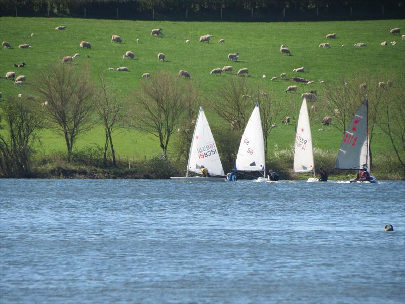 Bainbridge Staunton Blaster photo copyright Ann Nugent taken at Staunton Harold Sailing Club and featuring the ILCA 6 class