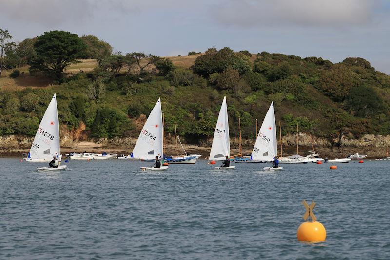 Salcombe Yacht Club Autumn Laser Open photo copyright Lucy Burn taken at Salcombe Yacht Club and featuring the ILCA 6 class