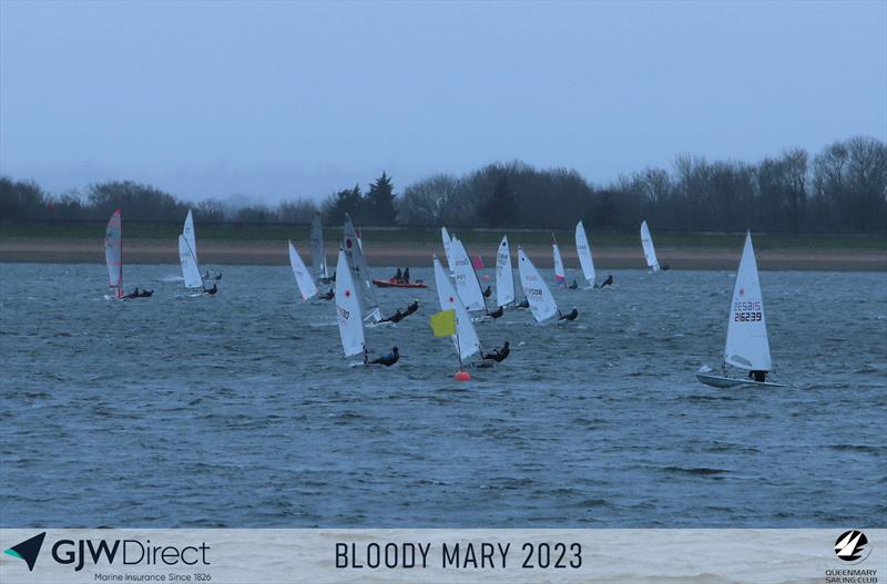 GJW Direct Bloody Mary 2023 photo copyright Mark Jardine taken at Queen Mary Sailing Club and featuring the ILCA 6 class