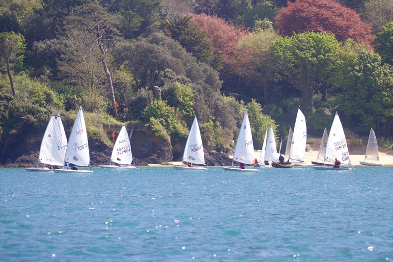 Salcombe Yacht Club Sailing Club Series Race 1 photo copyright Lucy Burn taken at Salcombe Yacht Club and featuring the ILCA 6 class