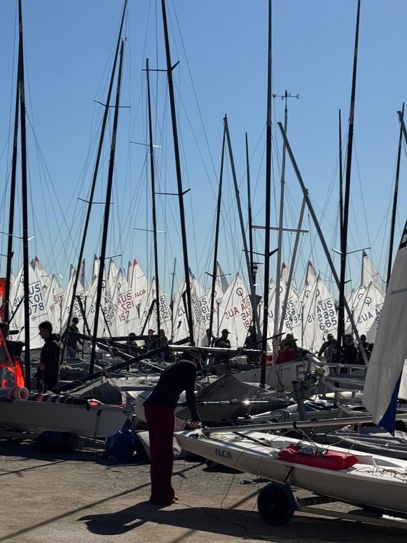 East Coast Championships 2026 at Woollahra Sailing Club photo copyright Thomas Jacobsen taken at Woollahra Sailing Club and featuring the ILCA 6 class