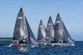2024 Mirpuri Foundation Sailing Trophy © Mirpuri Foundation