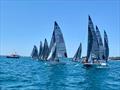 © SB20 Class UK