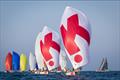 2025 Wicked SB20 Middle East & UAE Championships - Kidkink leading the fleet