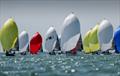 &copy; Paul Wyeth / www.pwpictures.com