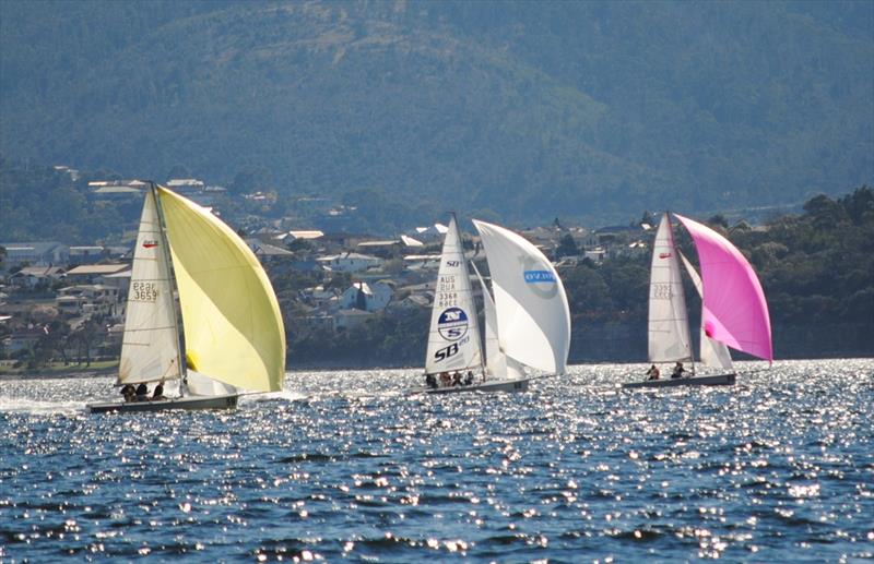 SB20s running before a 10 knot nor'wester on the River Derwent today photo copyright Peter Campbell taken at Derwent Sailing Squadron and featuring the SB20 class