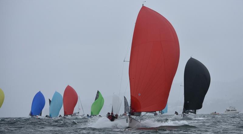 Porco Rosso - Elliott Noye, Paul McCartney, Ed Snowball - Day 1 - 2018 SB20 Australian Championship - photo © Jane Austin