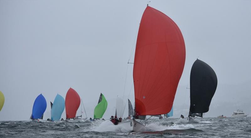 Porco Rosso - Elliott Noye, Paul McCartney, Ed Snowball - Day 1 - 2018 SB20 Australian Championship - photo © Jane Austin