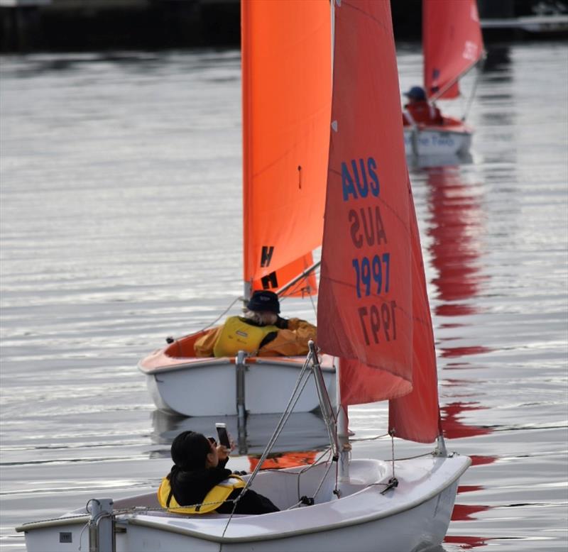 SB20 fleet action at River Derwent photo copyright Jane Austin taken at Derwent Sailing Squadron and featuring the SB20 class