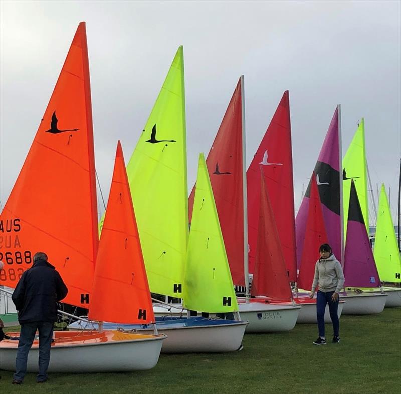 SB20 fleet at River Derwent photo copyright Jane Austin taken at Derwent Sailing Squadron and featuring the SB20 class